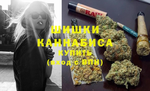 шишки Ростов