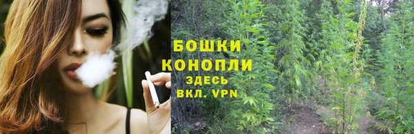 амф Аркадак