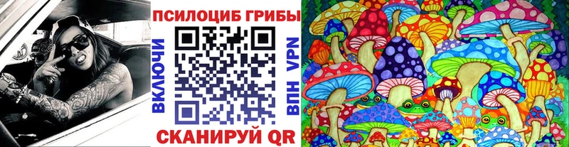 это какой сайт Кандалакша Галлюциногенные грибы прущие грибы ОМГ ОМГ как войти
