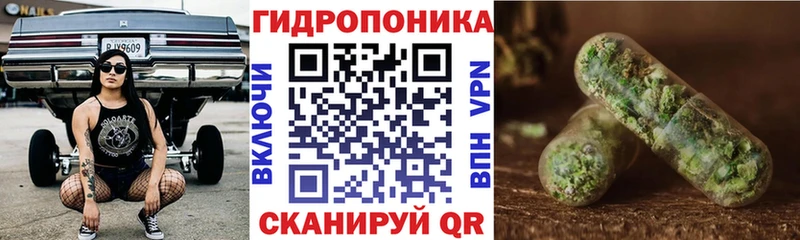Канабис сатива Кандалакша